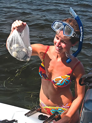 Scalloping